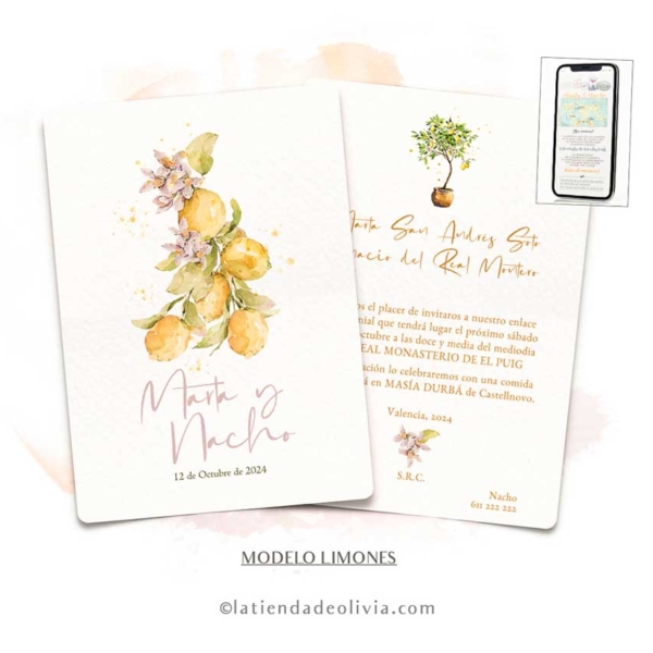 disenos-de-invitaciones-originales-y-elegantes_la-tienda-de-olivia_01